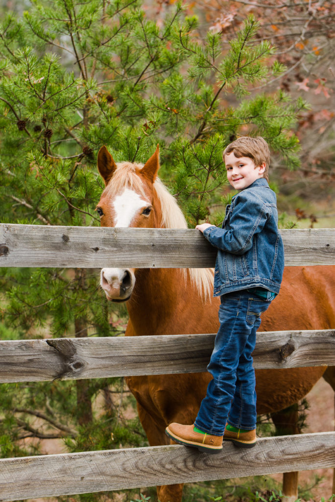 child with horse