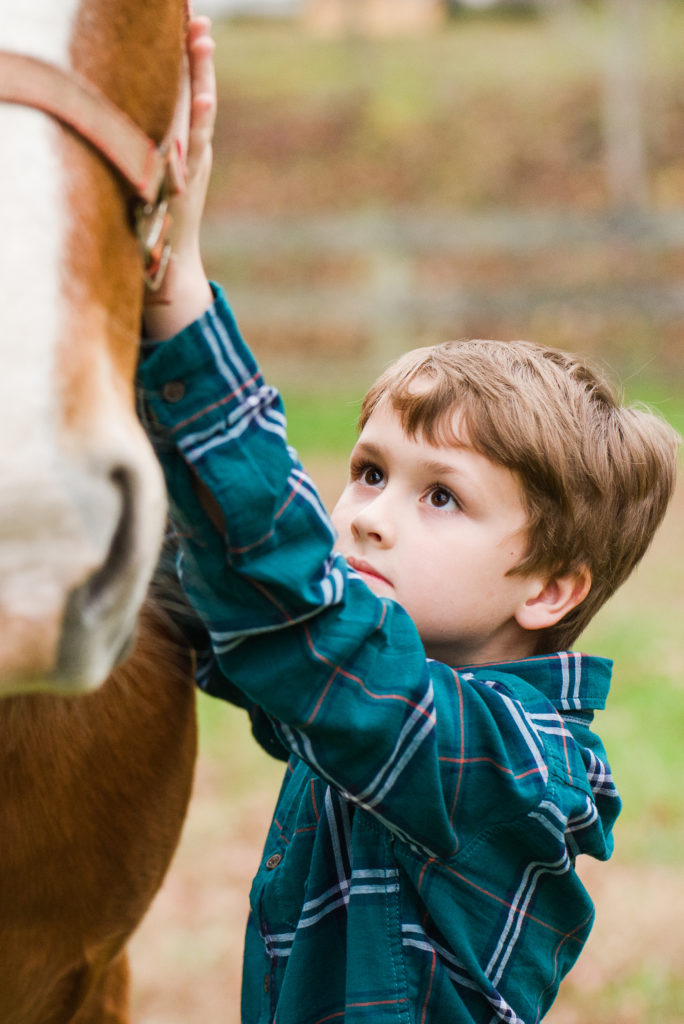 child petting horse