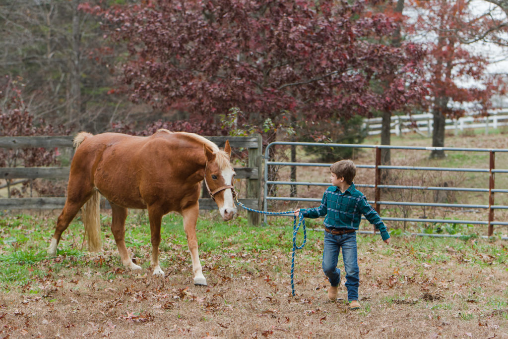 child walking horse in pasture