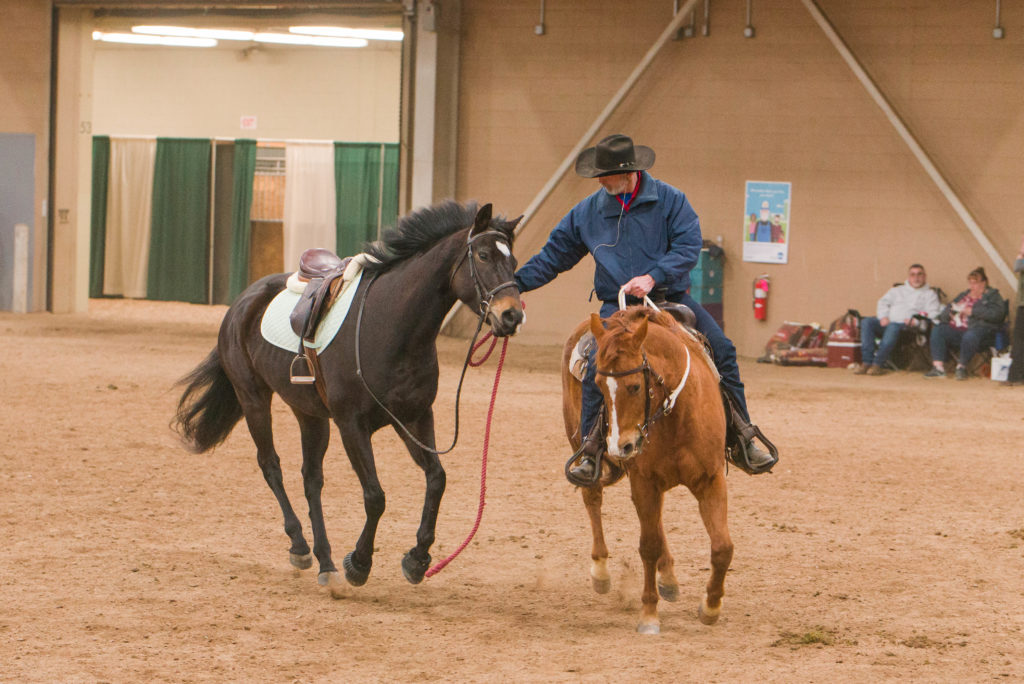 horse trainer working with anxious horse