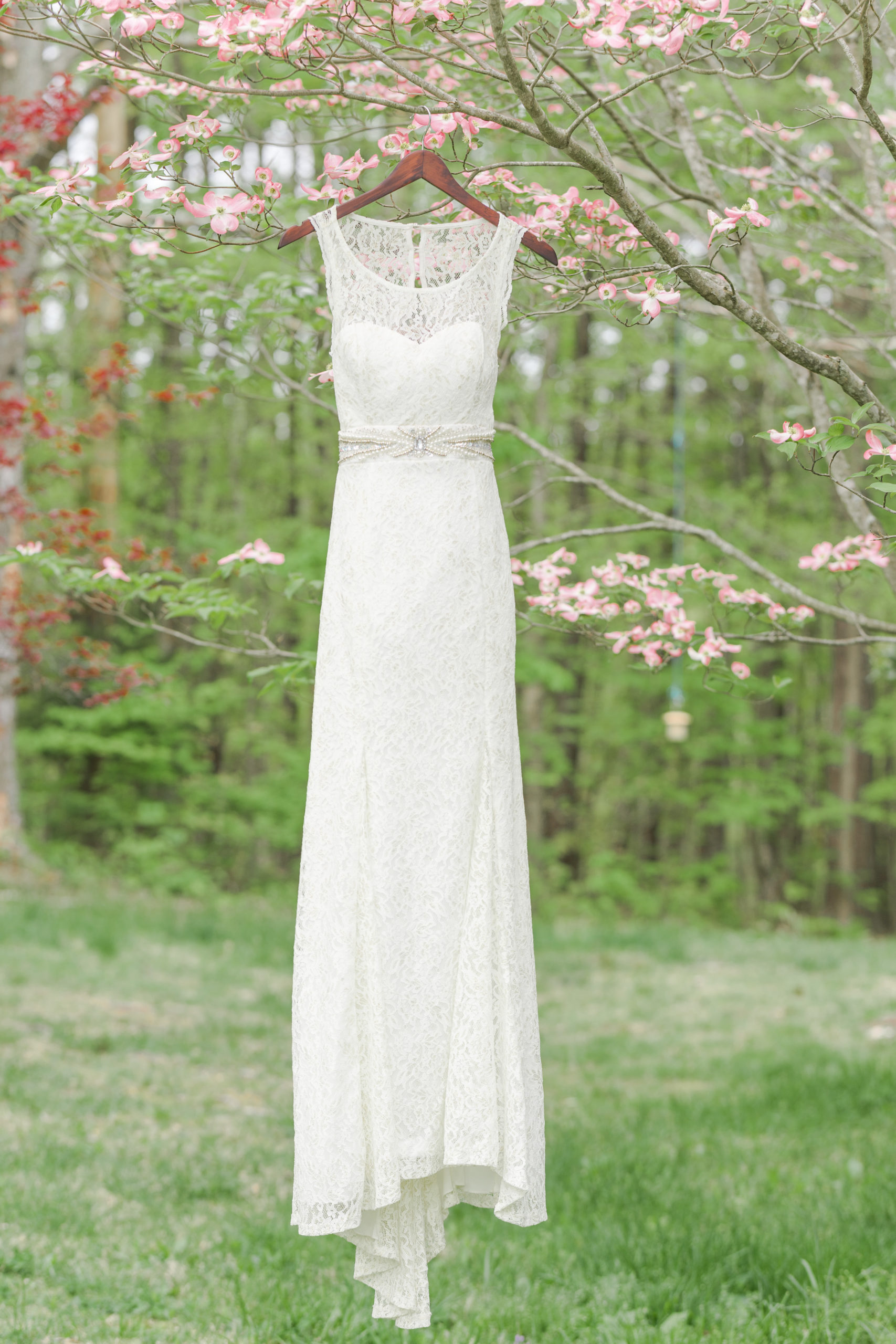 bridal gown hanging in dogwood tree