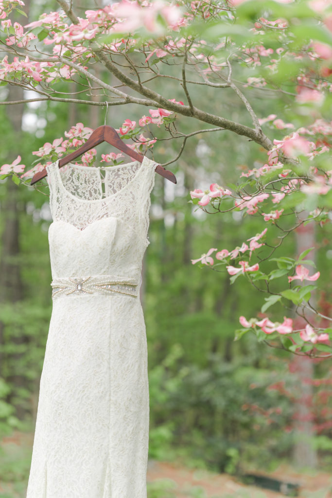 bridal gown hanging in tree