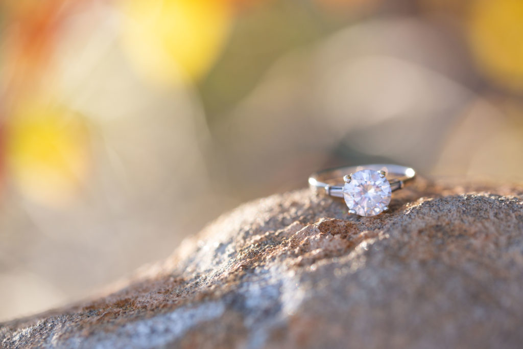 engagement ring with fall foliage