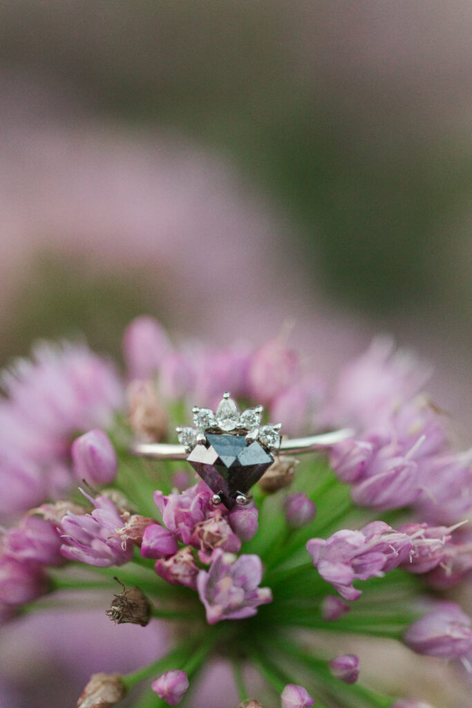 black diamond Engagement ring at Lewis Ginter Botanical Garden