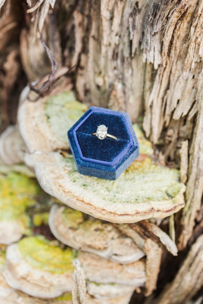 engagement ring enchanted forest theme