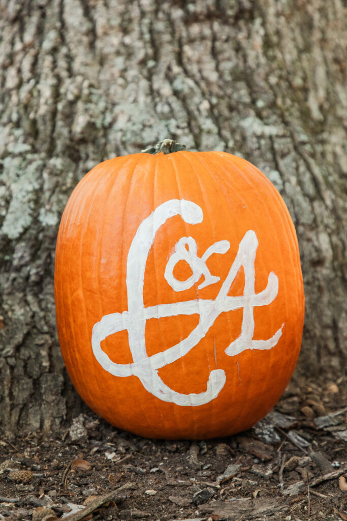 Ceremony details at Knight's Gambit Vineyard