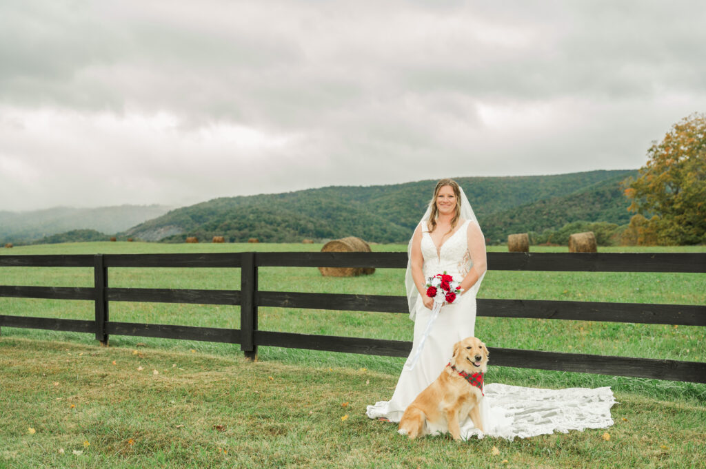 bridal session with goldent retriever in mountain setting
